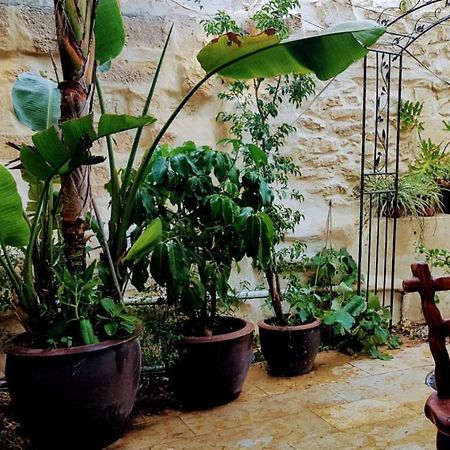 הגן הקסום, הצימר בבאר שבע Ξενοδοχείο Εξωτερικό φωτογραφία